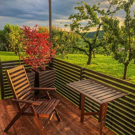 Apartma Sobe Pulec Доброво Екстериор снимка